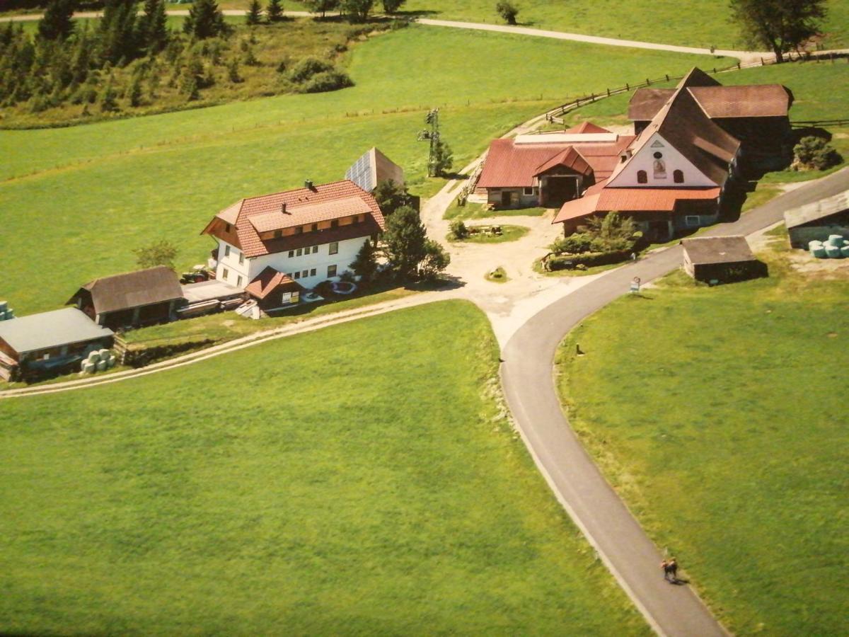 Вилла Erholung Am Bauernhof Bei Familie Seidl / Messner Zeutschach Экстерьер фото